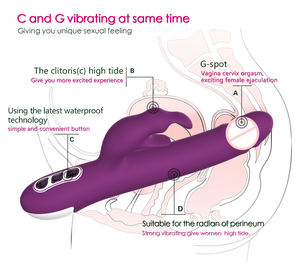 Y Love Dildo Vibrator Seks Speelgoed voor Vrouwelijk Genot - Product Image 2