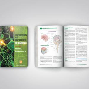 एक नज़र में न्यूरोएनाटॉमी और न्यूरोसाइंस एक नज़र में 4 वें संस्करण मेडिकल पाठ्यपुस्तक मुद्रण छोटे मोक सिलाई बाध्यकारी - Product Image 4