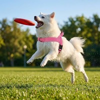 Harnais tactique pour chien anti-traction, gilet Molle robuste avec poignée, harnais réfléchissant réglable pour la promenade et l'entraînement