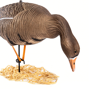 Décoy de canard à ventre blanc ultra-réaliste en plastique EVA, 3 postures, léger, avec flocage peint, pour la chasse en extérieur et l'ornement de jardin - Product Image 2