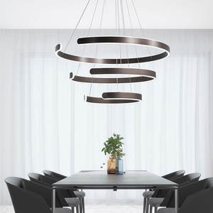 Design simple moderne anneaux suspendus suspension lumière personnalité créative cercle salle à manger lustre - Product Image 5