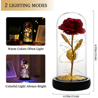 Arc-en-ciel artificiel vente en gros rosas lumineuses en verre plastique coloré flor avec led galaxy rose dans un dôme en verre pour la fête des mères