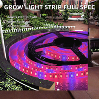 Lampu Tanam LED Strip 5050 SMD IP65/20 Tahan Air Spektrum Penuh Tembaga 10W untuk Tanaman Indoor, Rumah Kaca, Akuarium, Bunga, dan Sayuran