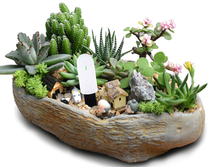 Humidimètre du sol avec <span class=keywords><strong>indicateur</strong></span> lumineux Home Garden Farm Flower Plant Care - Product Image 4