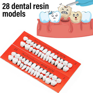 Prótesis Dentales y Dientes Artificiales Premium y Prácticos para Laboratorios Dentales Profesionales y Servicios de Fabricación de Dentaduras Postizas Personalizadas - Product Image 3