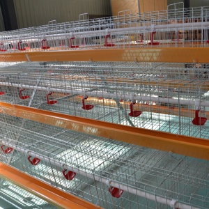 Hot Sale 10000 Kippen Batterij Kooi Legkippen Pluimveebedrijf 3/4 Lagen Automatische 96/120/128/160 Vogels Eierlaag Kooi - Product Image 4
