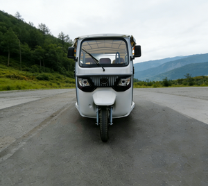 Triciclo Eléctrico Tuktuk de Alta Calidad y Buen <span class=keywords><strong>Precio</strong></span>, <span class=keywords><strong>Taxi</strong></span> Eléctrico de 3 Ruedas con Techo, Vehículo con Certificación EEC - Product Image 2