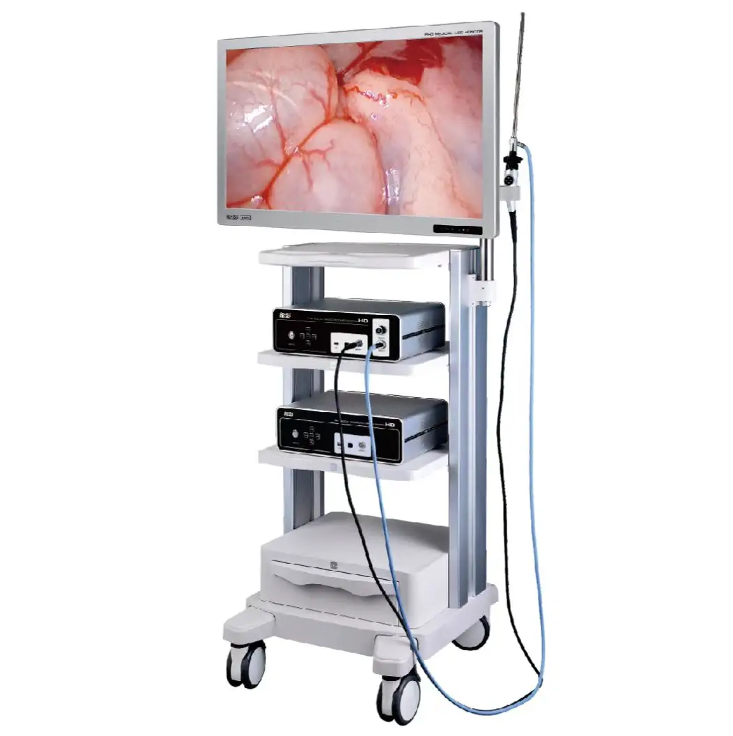 Configuration du système de caméra endoscope Full HD Instruments vétérinaires Machine d'endoscopie 3 en 1 pour hôpital pour animaux de compagnie