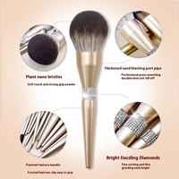 Ensemble professionnel de pinceaux pour les yeux et les lèvres, fibres synthétiques, manche en plastique, paillettes décoratives, ensemble de pinceaux de maquillage