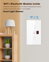 Gradateurs Wifi US AU SA pour éclairage LED à intensité variable, contrôle sans fil, fonctionne avec Alexa et Google Home