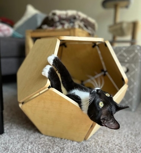 Nuevo diseño, cueva geométrica desmontable para mascotas, muebles de madera para mascotas para perros, gatos, jaula de madera de pino - Product Image 3