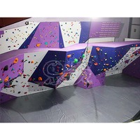 Mur d'escalade d'extérieur de grande taille, de haute qualité, pour l'intérieur et l'extérieur, avec différents styles