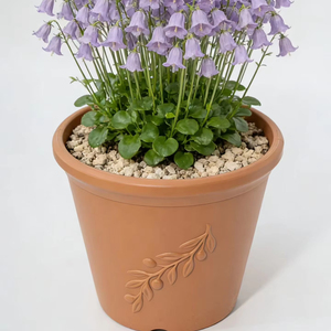 <span class=keywords><strong>Pot</strong></span> de fleurs <span class=keywords><strong>en</strong></span> plastique Roman Rembossed, deux tailles, design moderne, similaire à la terre cuite, pour plantes succulentes, <span class=keywords><strong>vanille</strong></span>, <span class=keywords><strong>pot</strong></span> de jardin <span class=keywords><strong>en</strong></span> plastique - Product Image 1