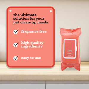 Atacado Grande Tamanho Espessado Toalhetes De Limpeza Toalhetes Não Tecidos para <span class=keywords><strong>Pet</strong></span> Body Cleaning <span class=keywords><strong>Wipes</strong></span> - Product Image 3