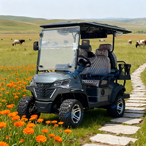 Carro de Golf Eléctrico Gris de Cuatro Plazas 2026, Vehículo Turístico para Hoteles, Autobús Turístico de Cuatro Ruedas con Certificación CE, Vehículo Turístico Eléctrico - Product Image 3