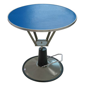 電気犬用グルーミングテーブル2025年ファッショナブルな小型スタイル調節可能木材高さリフティングボックスパック - Product Image 1