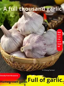 กระเทียมแห้งพันธุ์เก่า กลิ่นหอม ปี 2025 หัวกระเทียมจากฟาร์ม 2.5 กก. ผิวสีม่วงขาว 0.5 กก. 4.5 กก. ราคาขายส่ง แผ่นดินใหญ่ - Product Image 3