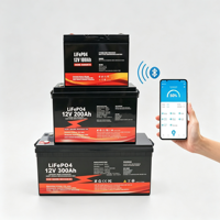 Batterie au lithium LiFePO4 rechargeable à décharge profonde 12V 24V 100Ah 200Ah 300Ah 400Ah 600Ah pour système solaire et camping-car
