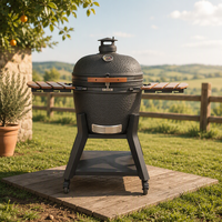 Barbecue au charbon de bois en céramique robuste SEB de 23,5 pouces avec télécommande, hauteur réglable, design portable et étanche pour l'extérieur
