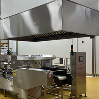 Hotte aspirante professionnelle en acier inoxydable 304/201 finition polie avec ventilateur intégré, capacité de charge 300 kg/m pour cuisinières