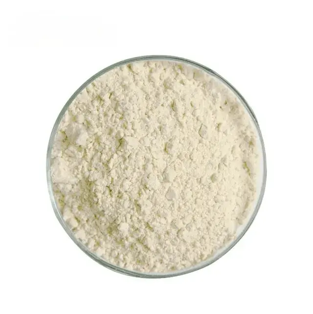 Supply Top Grade Soybean Extract Daidzein 98% CAS 486-66-8