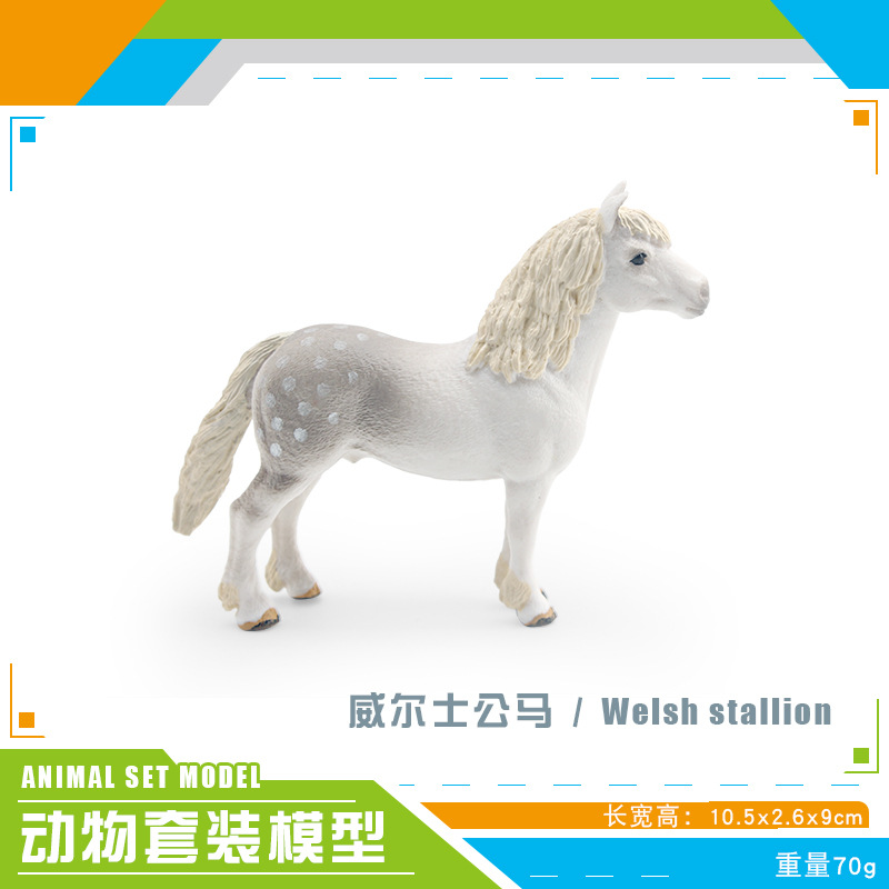 SKU02-PL127-2377 étalon gallois 70g