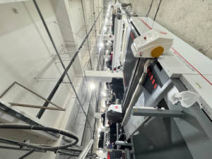 Wholesale Custom Logo 3D Digital Printing <b>Halloween</b> Round-neck Long Sleeved Cotton Heavy Weight 450 gsm <b>Sweatshirt</b> for Men - Product Image 6