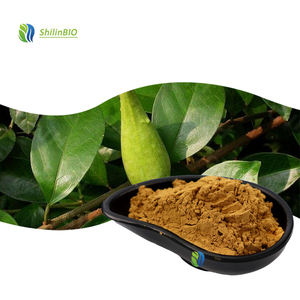 Extrait de feuilles de Gymnema Sylvestre en poudre de qualité alimentaire SLBIO 10:1 20:1 - Product Image 1