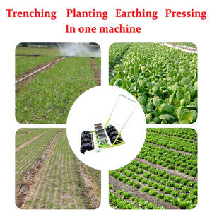 Sembradora <span class=keywords><strong>de</strong></span> verduras <span class=keywords><strong>de</strong></span> mano JH para rábano, lechuga, <span class=keywords><strong>cilantro</strong></span>, gran oferta, sembradora <span class=keywords><strong>de</strong></span> semillas para plántulas - Product Image 3