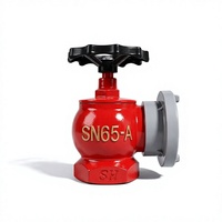 Vanne d'incendie en fonte ductile SN65-A de 65 mm et 1,6 MPa, plusieurs modèles, pour hydrant d'intérieur de bâtiment commercial - Vente en gros