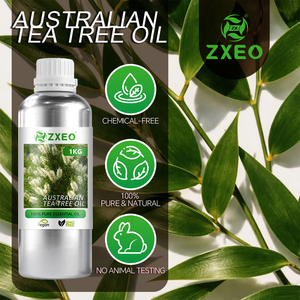 น้ำมันทีทรีออสเตรเลียขายส่ง 100% บริสุทธิ์จาก<span class=keywords><strong>ธรรมชาติ</strong></span> น้ำมันหอมระเหยทีทรีออสเตรเลียสำหรับการดูแลส่วนบุคคลและ<span class=keywords><strong>การ</strong></span>ผลิตผลิตภัณฑ์บำรุงผิว - Product Image 4