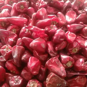 Wholesale 100% Natural Lantern Pepper Strong Taste Spicy And Delicious Lantern Pepper