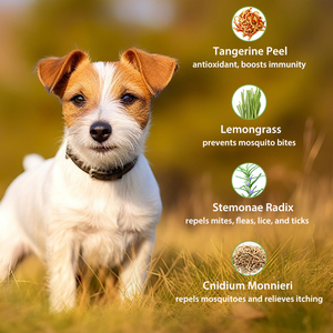<span class=keywords><strong>Spray</strong></span> anti-démangeaisons pour animaux de compagnie, bio, OEM ODM, nettoyage de la peau, traitement contre les puces et les tiques pour chats et chiens - Product Image 2