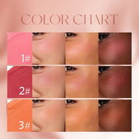 Stick de maquillage à pointe ronde et volumineuse, éclat naturel rosé, un seul passage pour illuminer le teint, blush pour le maquillage quotidien, OEM ODM Private Label