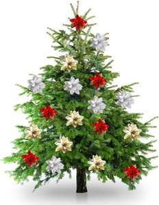26cm Real Touch <b>Christmas</b> Flower Poinsettia Velvet <b>Christmas</b> Ornament Artificial Flower <b>Christmas</b> Flowers for Home <b>Decoration</b> - Product Image 3