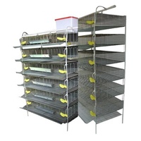 Cages à cailles modernes à 4 niveaux, automatiques, galvanisées, avec système de collecte d'œufs et d'abreuvement automatique, nouvelle capacité élevée
