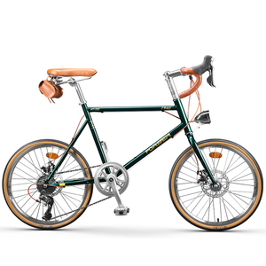 Xe đạp 7/8 tốc độ 20 inch dành cho nam và nữ, xe đạp leo núi người lớn, xe đạp cổ điển có số, dành cho sinh viên đại học - Product Image 2