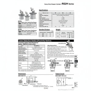 Catégorie de produit de haute qualité de cylindre de bouchon de RS2H50-30BL résistant de SMC Pneumatics - Product Image 1