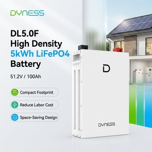 Dyness DL5.0F 5kWh 51.2V 100Ah Batería de pared ultrafina para el hogar, alternativa a Powerwall, 8000 ciclos, BMS inteligente, compatible con Deye - Product Image 4