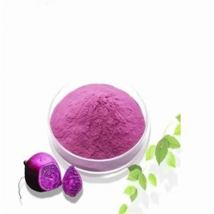 高品質の紫色のヤムイモエキス/紫色のサツマイモエキス