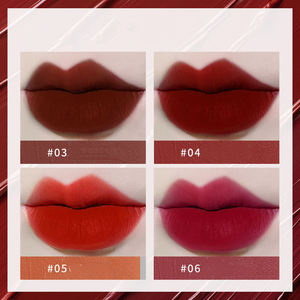 Nouveau rouge à lèvres personnalisé pas <span class=keywords><strong>facile</strong></span> à coller pas <span class=keywords><strong>facile</strong></span> à décolorer boue à lèvres ne pas sécher velours mat glaçure à lèvres - Product Image 4