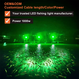 Luces de Pesca Subacuáticas Cian de 1000W, Luz Nocturna para Pesca en Barco, Atrae Peces Sobre el Agua, IP65 para Pesca en Barco, NJ-BY 1000 - Product Image 6