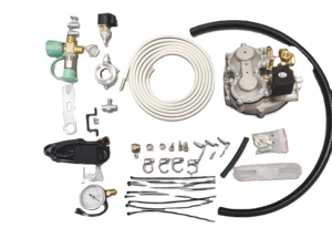 Keke Triciclo Tvs con Cng Kits Motocicleta KEKE Cng LPG Kit Autogas Control de Motor para Tres Ruedas Triciclo <span class=keywords><strong>Motocars</strong></span> - Product Image 2