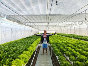 Sistema de riego de invernadero Jiapei, pulverización de niebla <span class=keywords><strong>al</strong></span> <span class=keywords><strong>revés</strong></span>, riego por microspray - Product Image 2