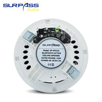 Haut-parleur actif Bluetooth BT610 encastrable au plafond, 10W, stéréo, sans fil, home cinéma, pleine gamme, amplificateur de puissance professionnel
