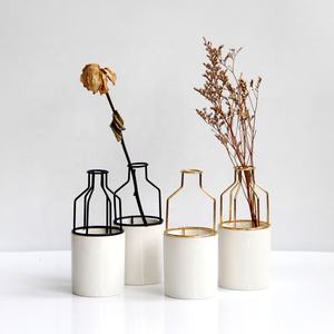 Jarrón de Plantas Hidropónicas de Cerámica y Arte de Hierro Metálico, Decoración de Escritorio de Estilo Nórdico Moderno y Simple para el Hogar - Product Image 1