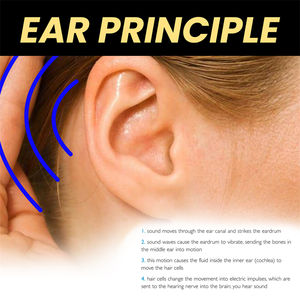 Private Label 30ml di miglioramento dell'udito olio <span class=keywords><strong>per</strong></span> l'<span class=keywords><strong>orecchio</strong></span> organico <span class=keywords><strong>gocce</strong></span> di tinnito sordità <span class=keywords><strong>orecchio</strong></span> dolore <span class=keywords><strong>prurito</strong></span> canale uditivo liquido <span class=keywords><strong>per</strong></span> il trattamento di blocco - Product Image 4