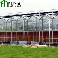 Serre Commerciale Multi-Span en Verre pour l'Agriculture – Kit Complet en Promotion