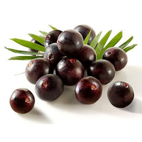 Vente en gros d'extrait de fruit synsepalum dulcificum poudre de baies miracles