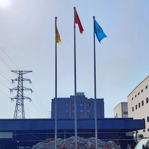 Китайский поставщик: Моторизованные уличные флагштоки ручной работы на заказ, флагштоки различной длины для продажи - Product Image 2